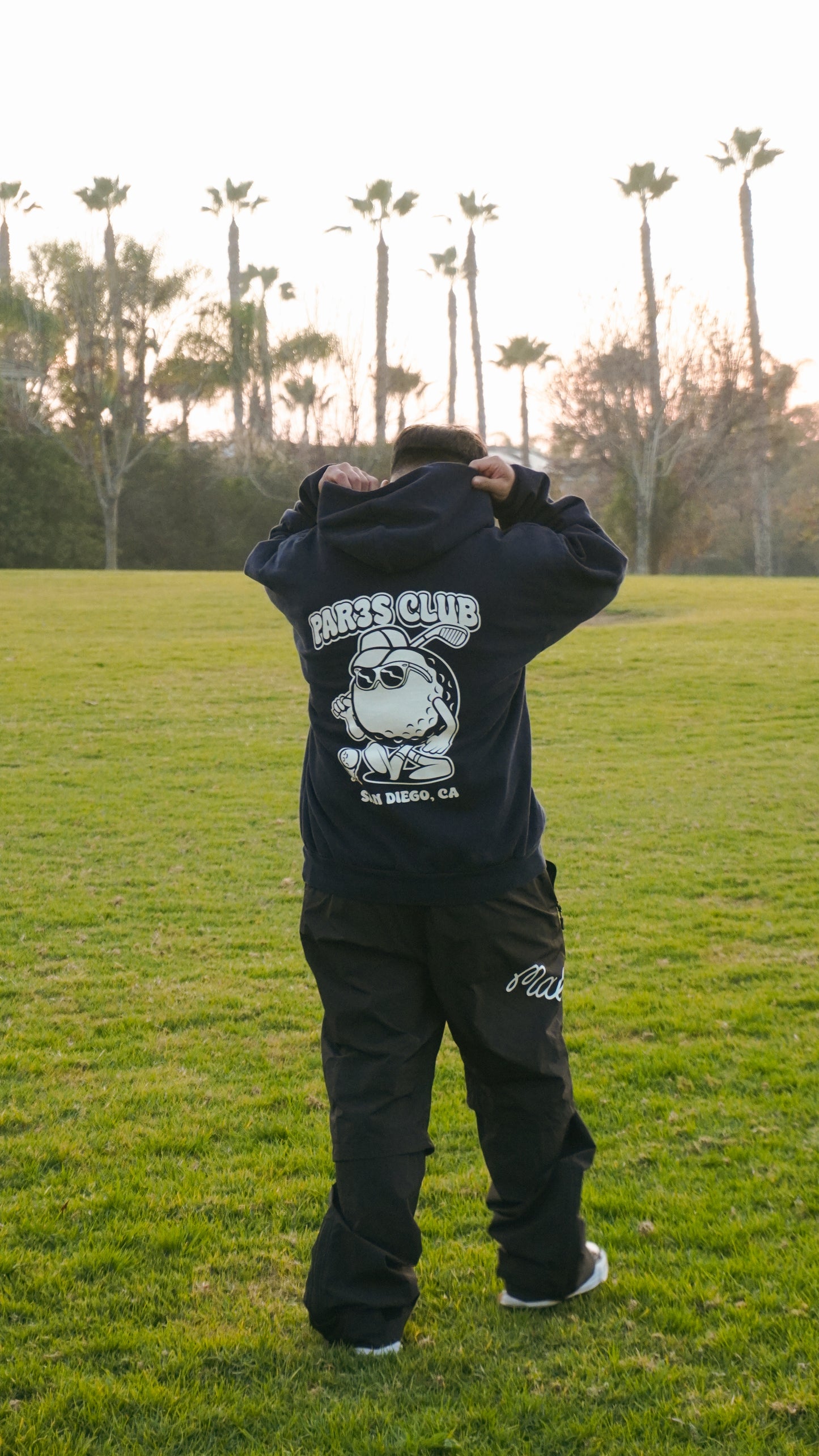 Par3s Hoodies