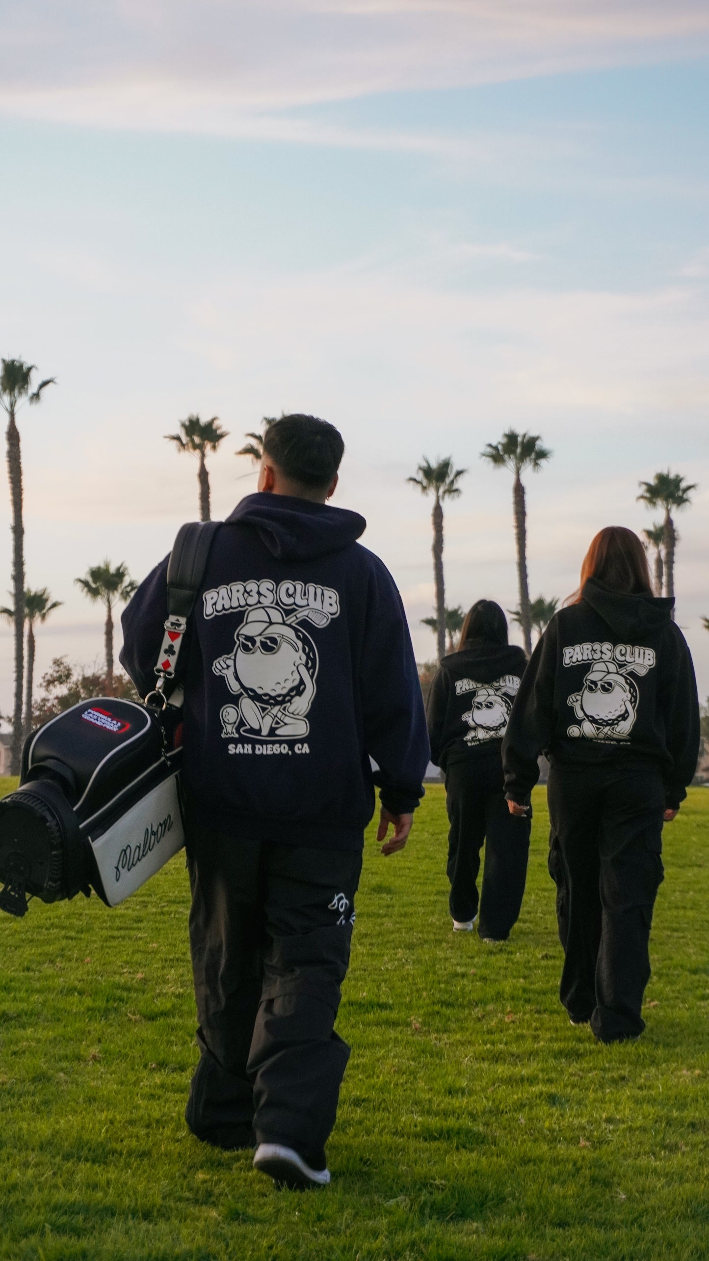 Par3s Hoodies